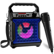 Risebass Portable Karaoke Machine – Home Karaoke System with Microphone & Party Lights, Rechargeable USB Speaker