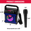 Risebass Portable Karaoke Machine – Home Karaoke System with Microphone & Party Lights, Rechargeable USB Speaker